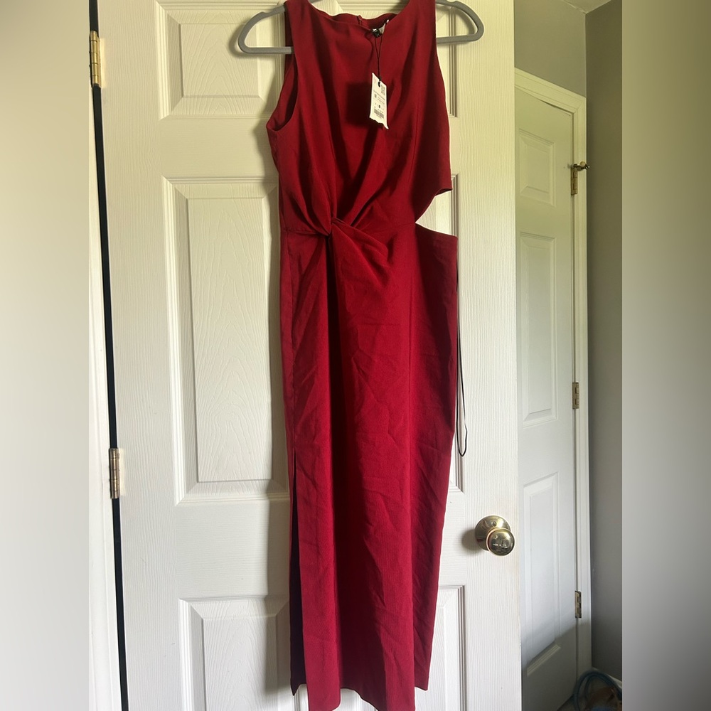 NWT Zara Dress